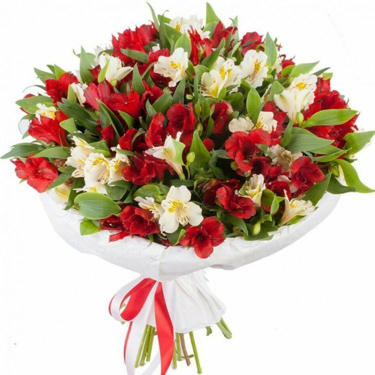 Миг от 5 600 руб.