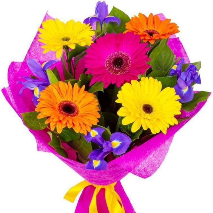 Моя нежность от 4 700 руб.